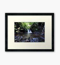Little Stream Framed Print