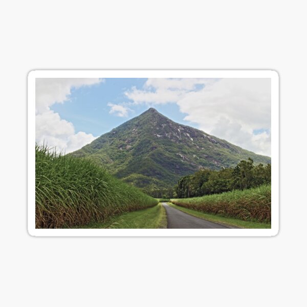 Walsh's Pyramid Sticker