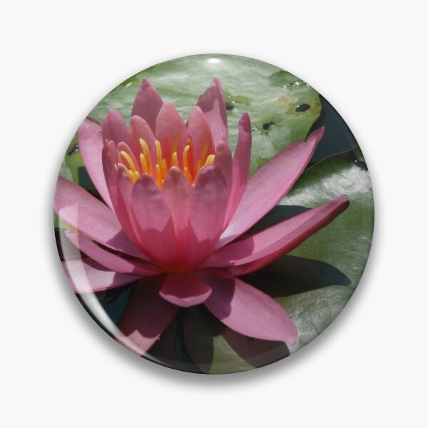 Item preview, Pink Water Lily designed and sold by Schummi.
