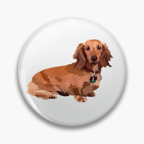Item preview, Long haired dachshund  designed and sold by Avastav18.