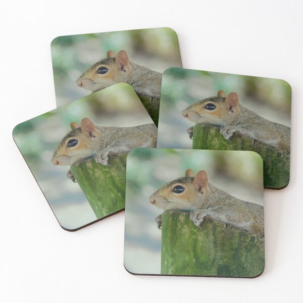 Item preview, Curious Squirrel designed and sold by Monika's Shop.