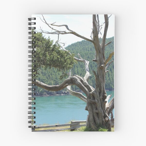 Item preview, Untold Story designed and sold by Tanya Shockman.