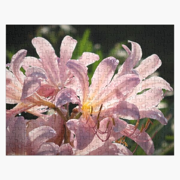 Pink Lilies with Sparkly Dew Jigsaw Puzzle