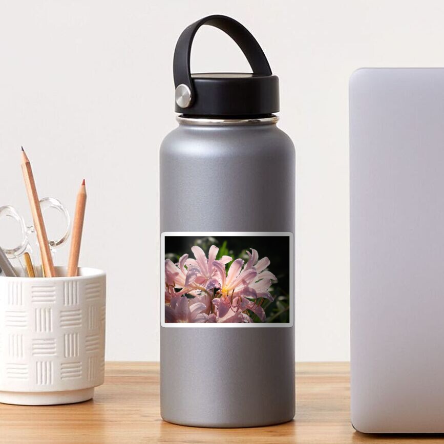 Pink Lilies with Sparkly Dew Sticker