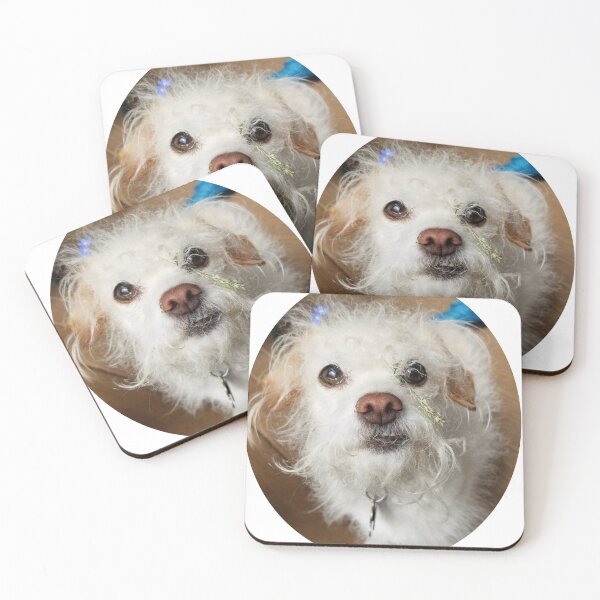 Item preview, Falkor from that one MBMBAM episode designed and sold by enbywerewolf.