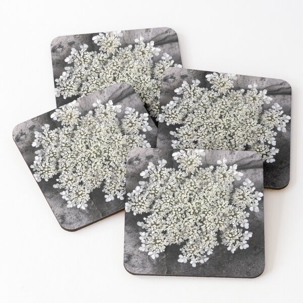 Item preview, American Wild Carrot Rattlesnake Weed designed and sold by Kaushal Pal.