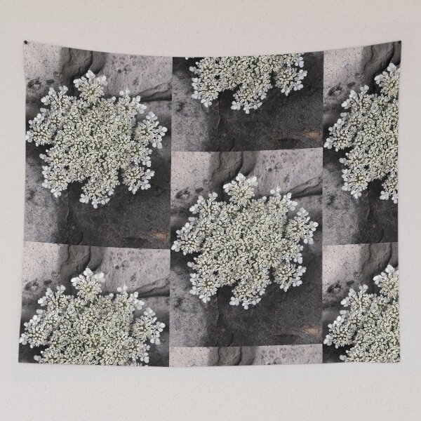 Item preview, American Wild Carrot Rattlesnake Weed designed and sold by Kaushal Pal.