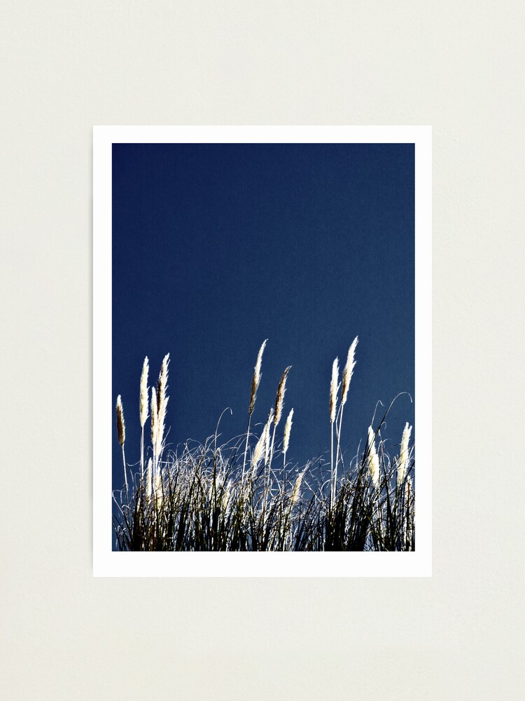 Alternate view of Bluegrass Photographic Print