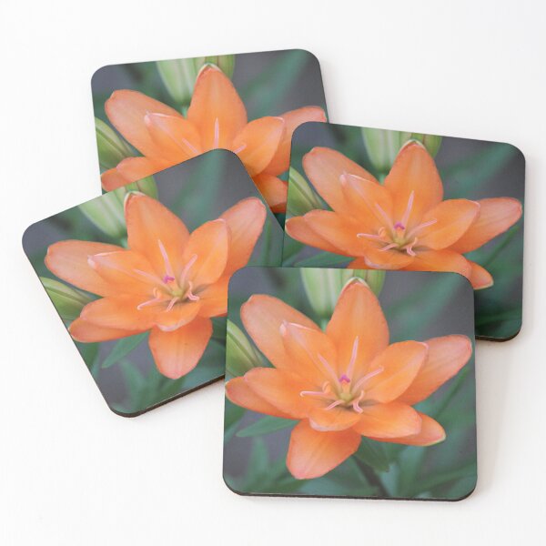 Item preview, Orange lily flower designed and sold by stina-bee.