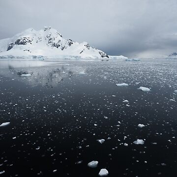 Artwork thumbnail, Ice Paradise by AntarcticShop