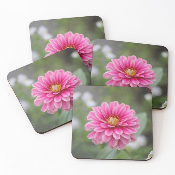 Item preview, Pink and white zinnia flower designed and sold by stina-bee.