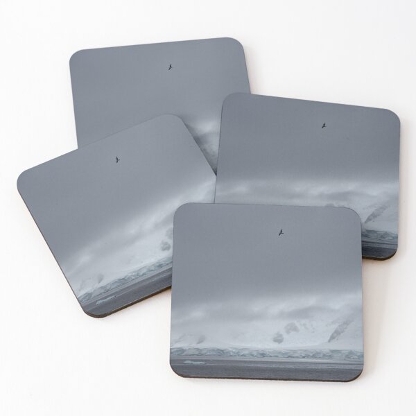 Soaring Far Above Coasters (Set of 4)