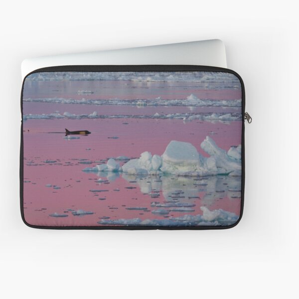 Orca Sunset Laptop Sleeve