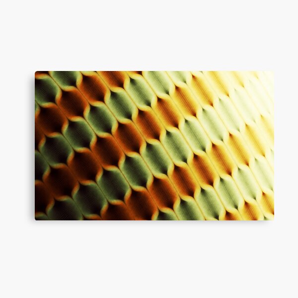 Good Morning, Sunshine Canvas Print
