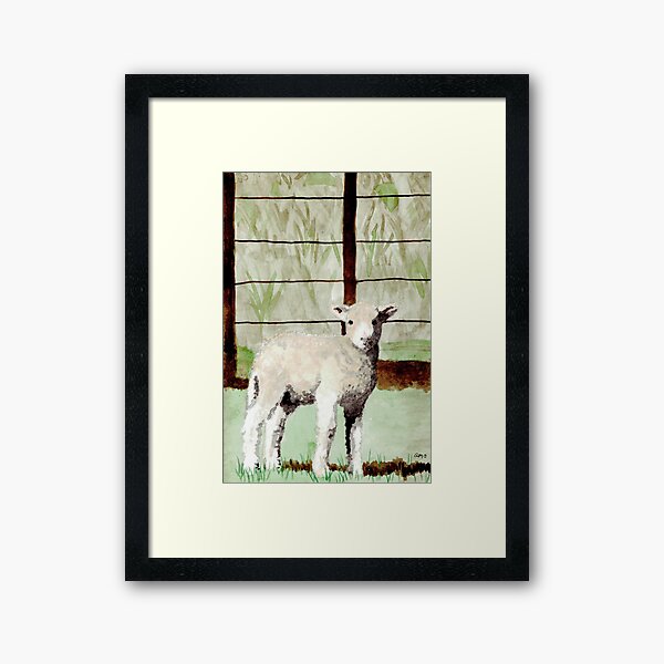 Framed Print
