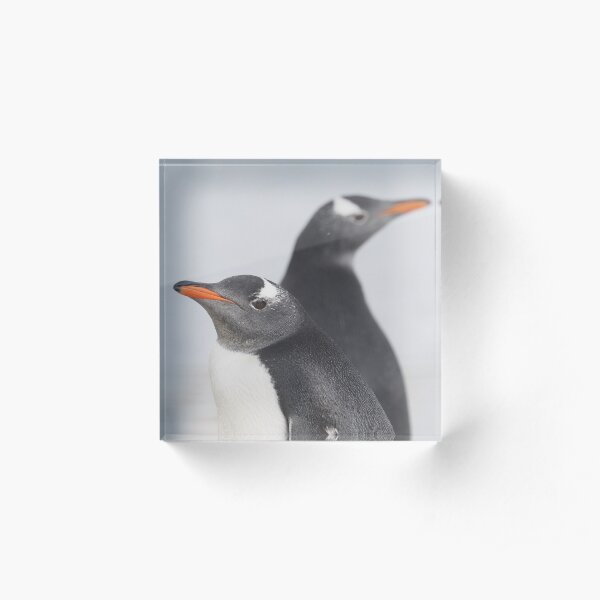 Penguin Pride Acrylic Block