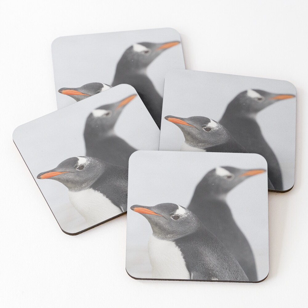 Penguin Pride Coasters (Set of 4)