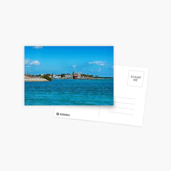 Item preview, Tiki Bar Islamorada designed and sold by Chris Thaxter.