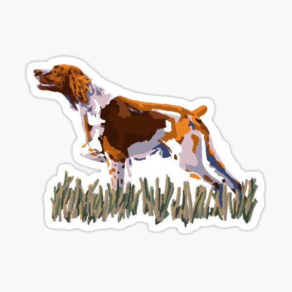 Epagneul Breton Stickers Redbubble