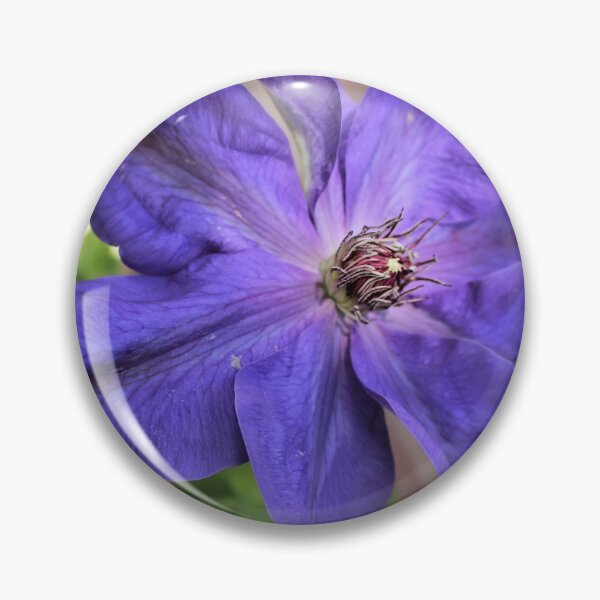 Item preview, Clematis Against Brick designed and sold by Martha Sherman.
