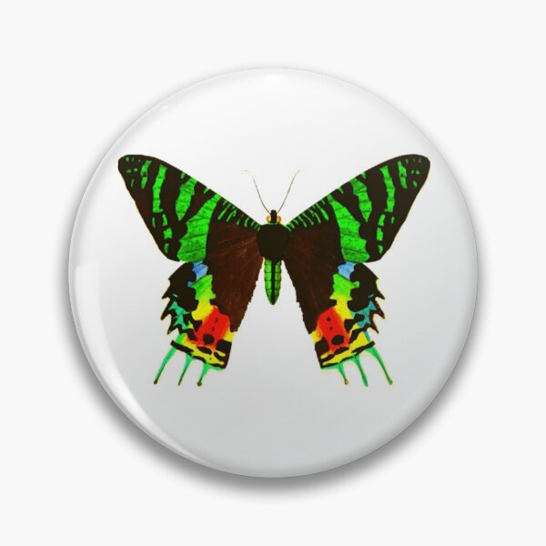 Item preview, Madagascan Sunset Moth designed and sold by bigted9.