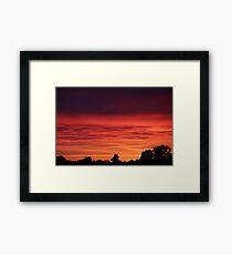 Looking out of my Window II Framed Print