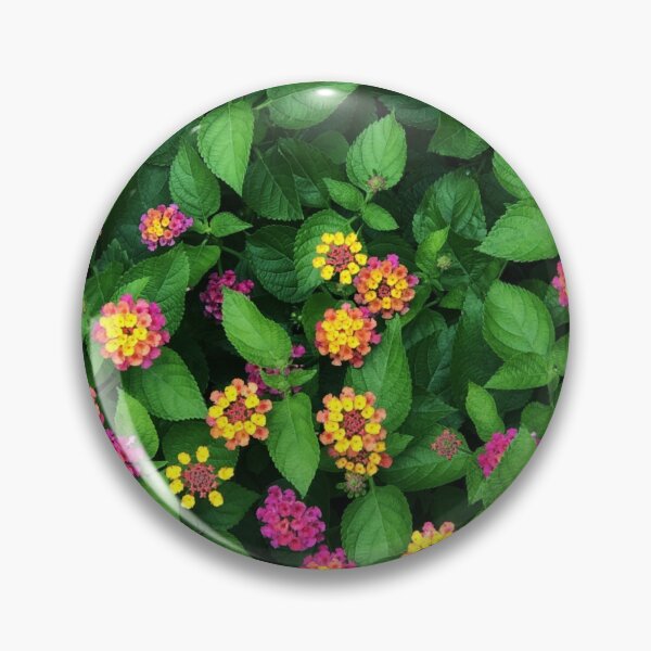 Item preview, South Fulton - Flowers designed and sold by SapphireArtist.