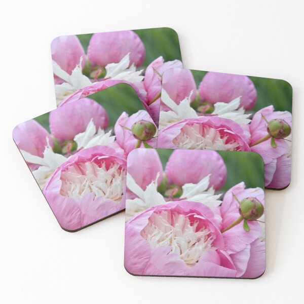 Item preview, Peonies designed and sold by alteredlifephto.