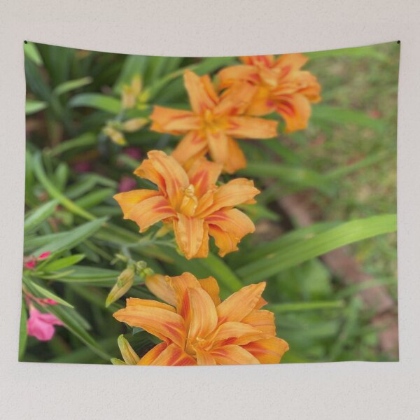 Item preview, Row of Orange Day Lilies designed and sold by Bradford Adams.