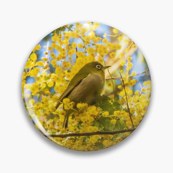 Item preview, Silvereye in Golden Wattle Boughs designed and sold by FigTreeMagick.
