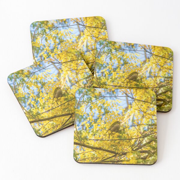 Item preview, Silvereye in Golden Wattle Boughs designed and sold by FigTreeMagick.