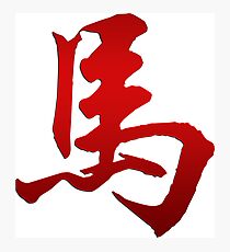 Year of The Horse Photographic Print