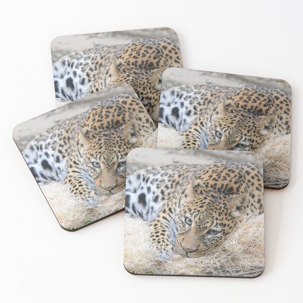 Item preview, African Leopard designed and sold by akdcash.