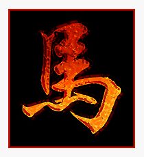 Chinese Zodiac Sign Fire Horse Photographic Print