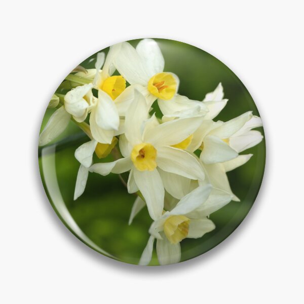 Item preview, White & Yellow Jonquil Narcissus Daffodil Flowers designed and sold by FigTreeMagick.