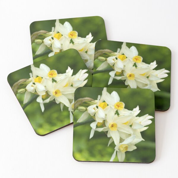 Item preview, White & Yellow Jonquil Narcissus Daffodil Flowers designed and sold by FigTreeMagick.
