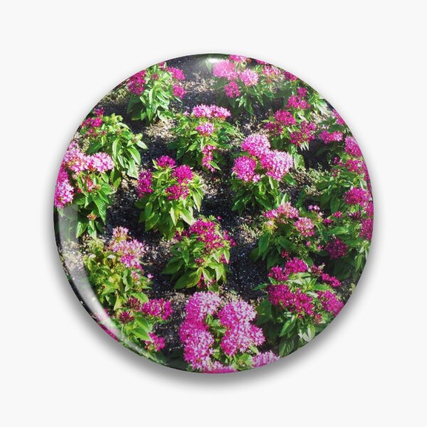 Item preview, Flower Patch designed and sold by toddbrooney.