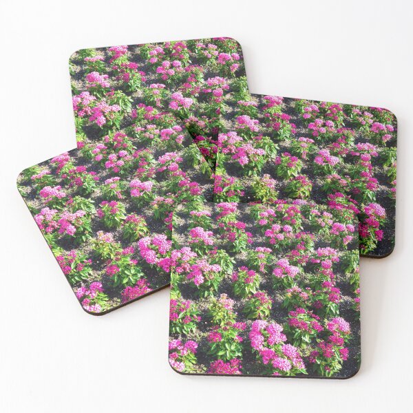 Item preview, Flower Patch designed and sold by toddbrooney.