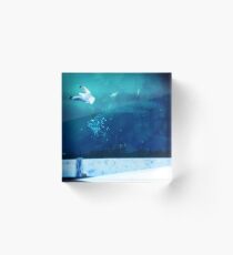 Thief! Acrylic Block