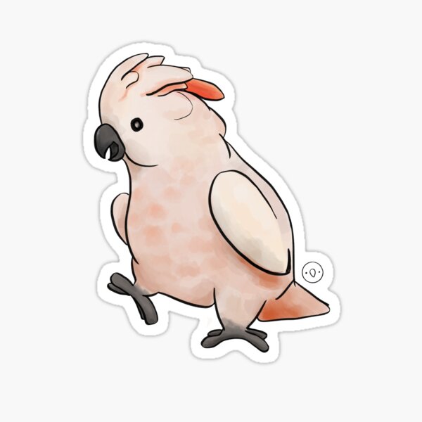 Item preview, moluccan cockatoo designed and sold by birbify.