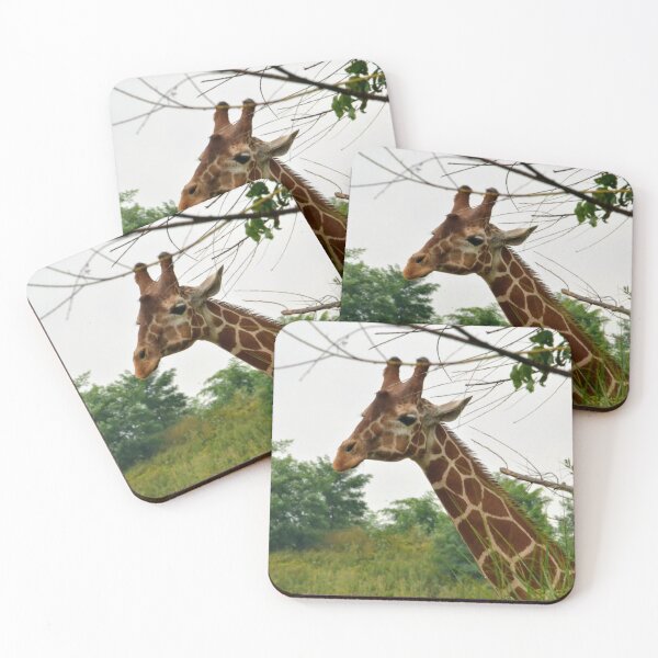 Item preview, Reticulated giraffe designed and sold by akdcash.