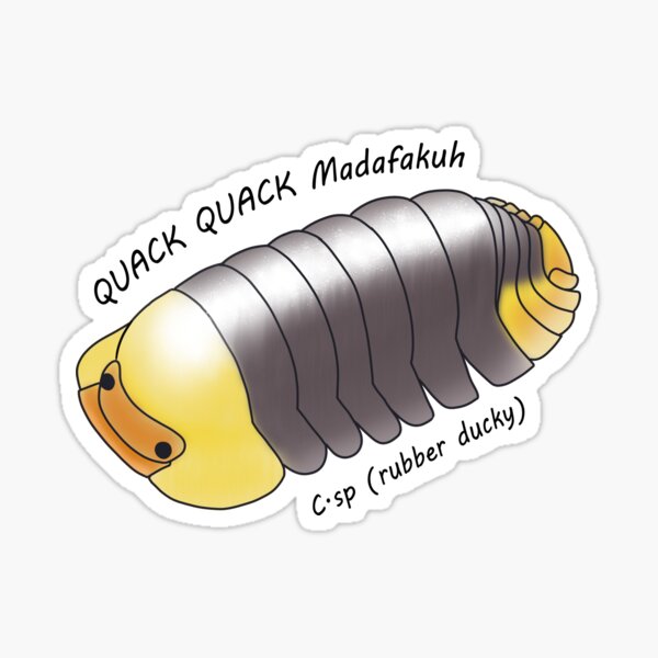 Item preview, C.sp (rubber ducky QUACK QUACK madafakuh designed and sold by Binkykun.