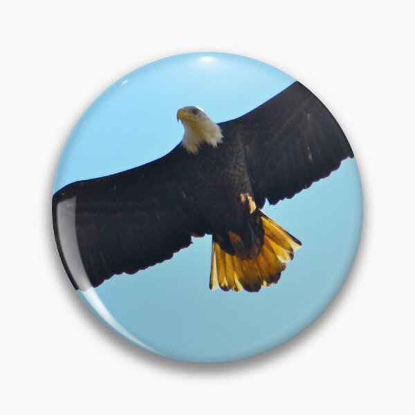 Item preview, Eagle in the Sun... designed and sold by RichImage.