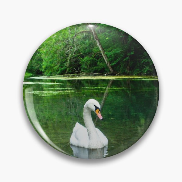 Artikelvorschau, vorbei kam ein prächtiger Schwan. Eine Szene in der Natur, die nicht besser sein könnte. entworfen und verkauft von Alisonchambers2.