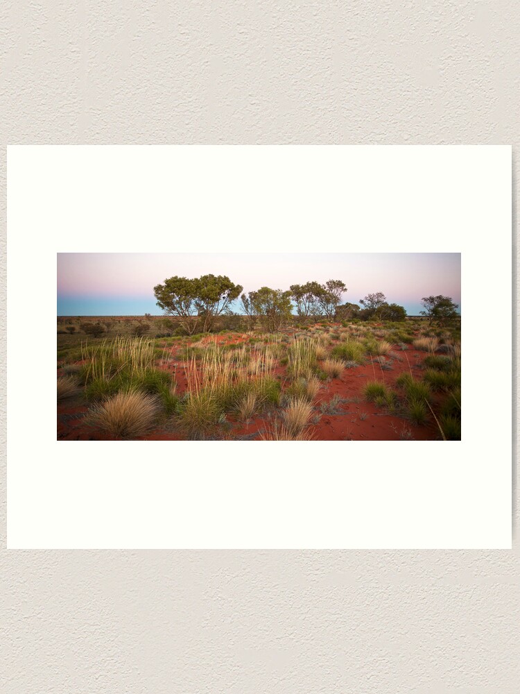 Alternate view of Spinifex on a Sandhill at Dawn Art Print