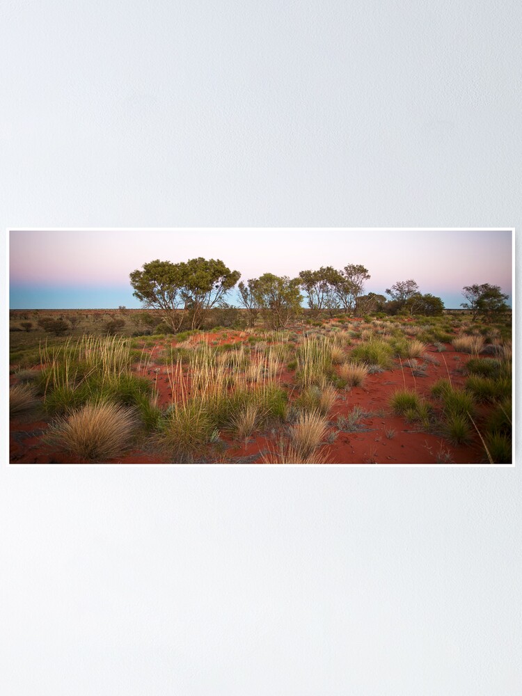 Alternate view of Spinifex on a Sandhill at Dawn Poster