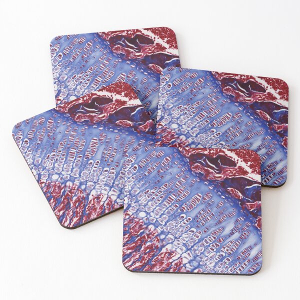 Item preview, Bone Growth Plate designed and sold by Love Histology.