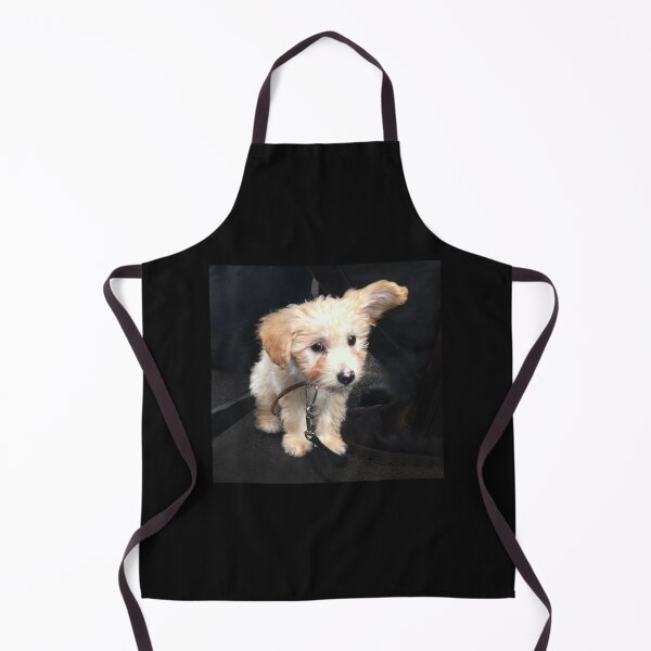 Item preview, Charley at 9 Weeks designed and sold by Roz McQuillan Fine Art & Photography.