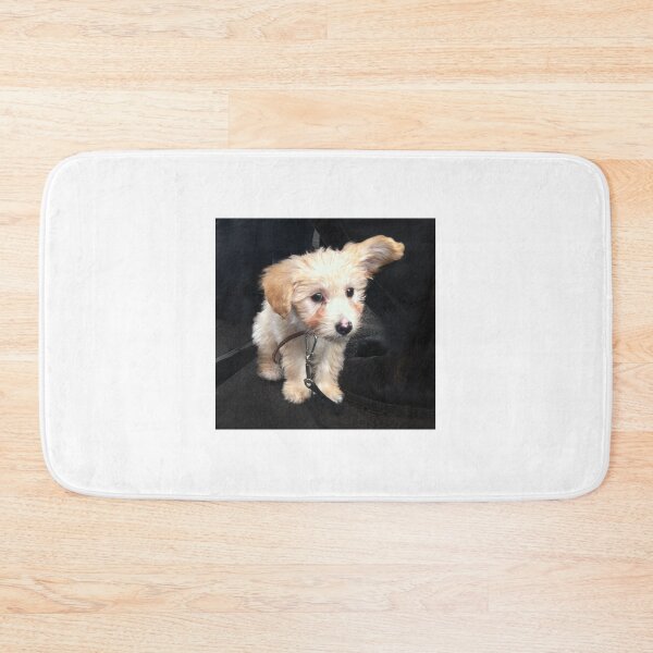 Item preview, Charley at 9 Weeks designed and sold by Roz McQuillan Fine Art & Photography.