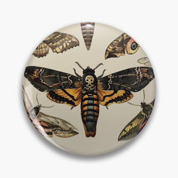Item preview, Vintage Scientific Moth Reference Charts  designed and sold by wildtribe.
